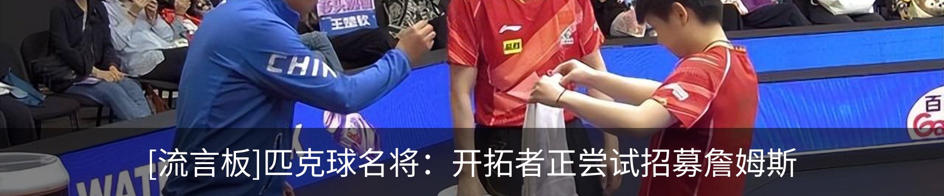 新闻动态